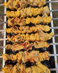 جوجه درطبیعت