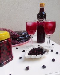 محصولات آلبالویی