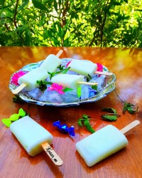 بستنی یخی طالبی
