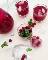 آیس تی آلبالو