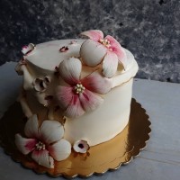 یه سفارش دخترونه وملیح ??