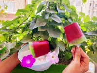 بستنی یخی میوه ای