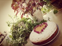 کیک چای دارچینی (ورق بزنید)