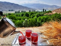 چای آلبالو محلی در بهشت پدربزرگ جان