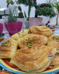 صدفی یا مدیا