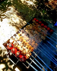 روزجهانی کباب