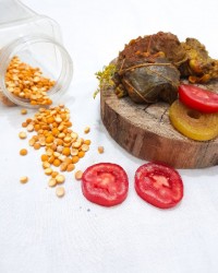 دلمه جااان