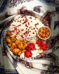 جوجه پاپریکایی