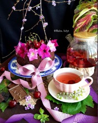 کیک اسپونج شکلاتی