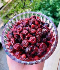 ترشک البالو