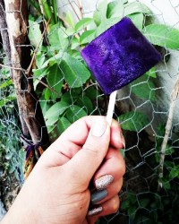 آلاسکا ی خوشرنگم و ماکارانی جان نهار