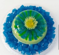 ژله ی تزریقی