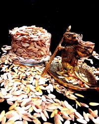 تخمه بوداده نوستالژی