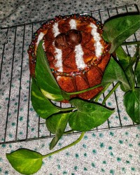 کیک ایتالیایی ۱۲قاشقی