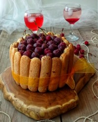 تیرامیسو توت فرنگی مدرن لطفاً کپشن خوانده شود