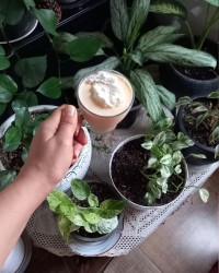 اسموتی شیرانبه