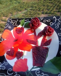 لواشک آلو قرمز ترررررش