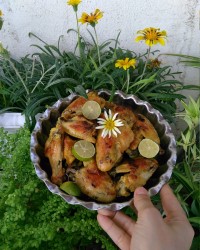 بال و کتف سرخ شده