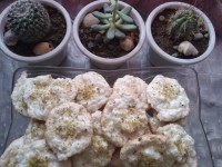 سلام دوستان گلم شیرینی نارگیلی برای اولین بار ممنون ازهمراهیتون