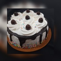 سلام پاپیونی ها