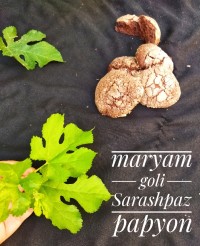 cookieCracked کوکی تَرَک دار