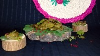 دلمه برگ مو