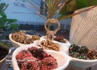 بعد از یک غیبت طولانی امدم ?توپک خرما ای خوشمزه ?