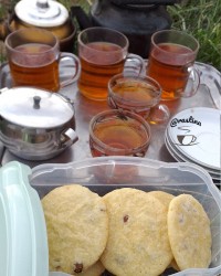 مجموعه عکسهای روستا