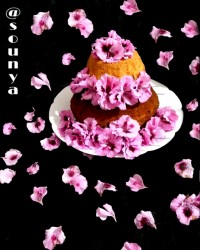 ☆پست ویژه تولد مرداد ماهیا☆