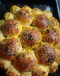 نون لانه زنبوری