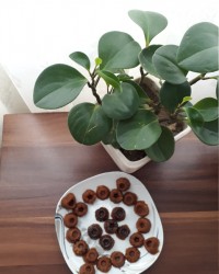 برشتوک خوشمزه کاکائویی ساده