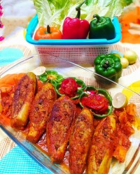 کدوسبز شکم پر