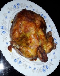 مرغ آجری