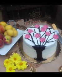 کیک تولددخترگلم