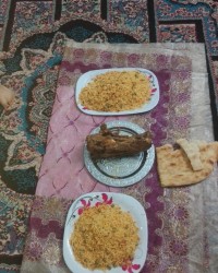 خوراک گردن بادمی گوجه جای دوستان سبز