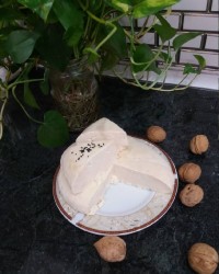 پنیر خونگی