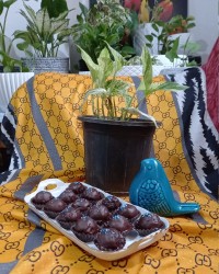 توپک های شکلاتی خوشمزه ویژه میزتولد