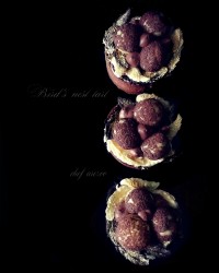 Bird's nest tart تارت لانه پرنده