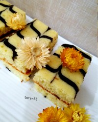 تی تاپ درتابه رژیمی