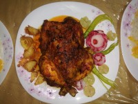 مرغ شکم پر پرتقالی