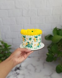 کیک تابستونی ?