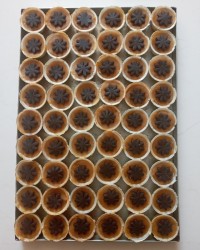 حلوا تک نفره