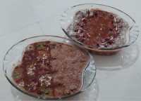 رنگینگ?