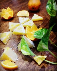 مسقطی پرتقالی سکوت بانو