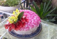 کیک زیبای من