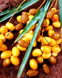 حلوا وخلاقیت