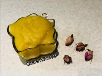 کرمفیل خانگی