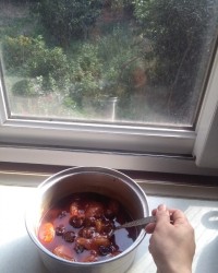 خورشت آلو قیصی