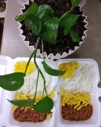 قیمه نذری امام حسین