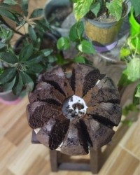 کیک شکلاتی دلبر??????